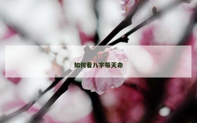 如何看八字带天命