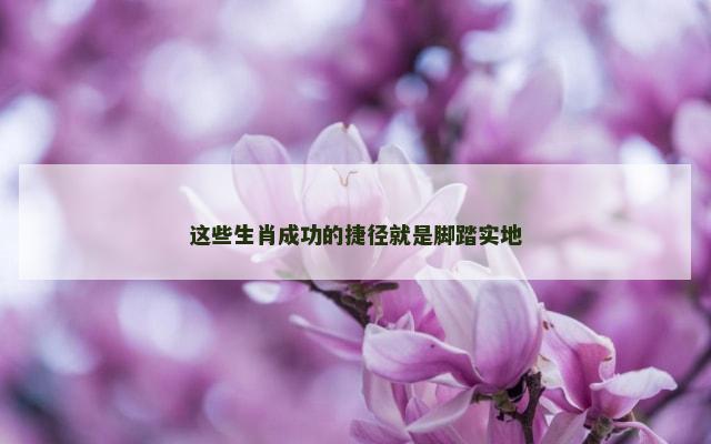 这些生肖成功的捷径就是脚踏实地