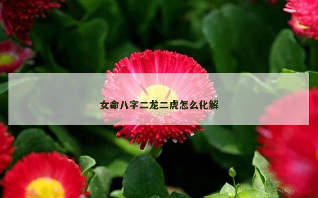 女命八字二龙二虎怎么化解