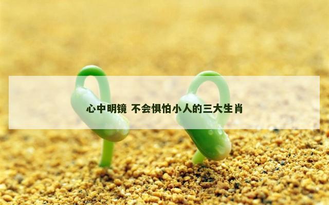 心中明镜 不会惧怕小人的三大生肖