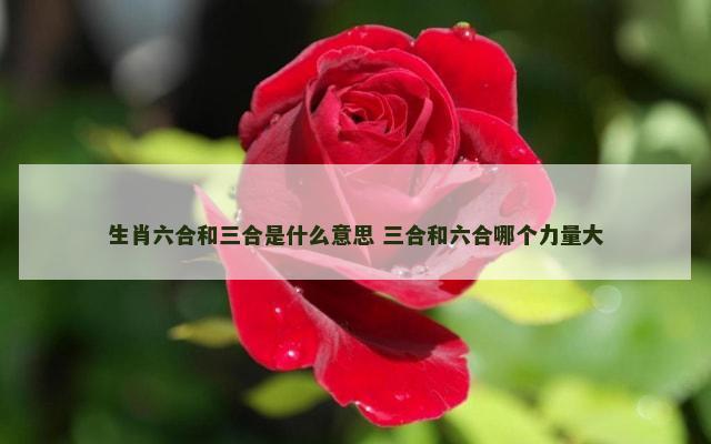 生肖六合和三合是什么意思 三合和六合哪个力量大