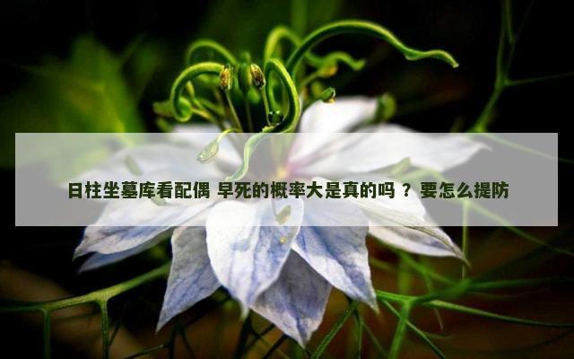 日柱坐墓库看配偶 早死的概率大是真的吗 ？要怎么提防