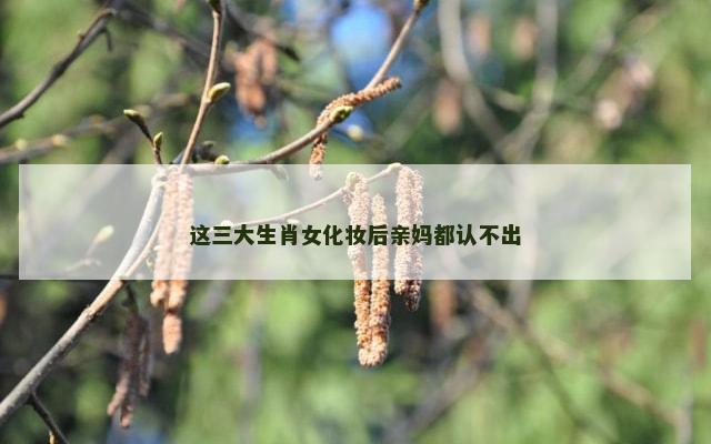 这三大生肖女化妆后亲妈都认不出