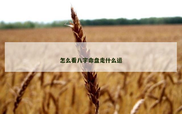 怎么看八字命盘走什么运
