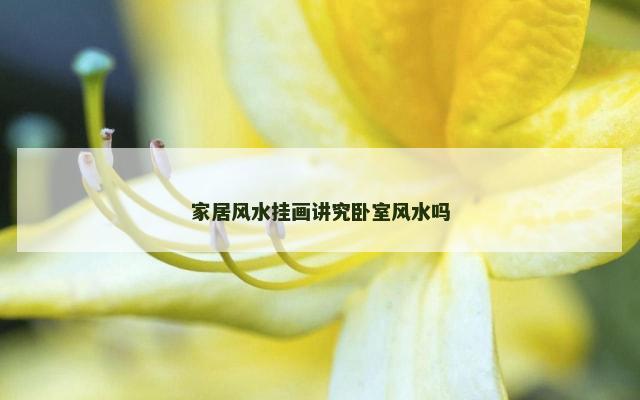 家居风水挂画讲究卧室风水吗