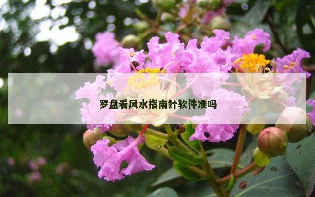 罗盘看风水指南针软件准吗