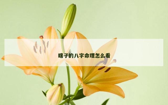 瞎子的八字命理怎么看
