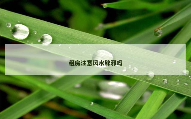租房注意风水辟邪吗