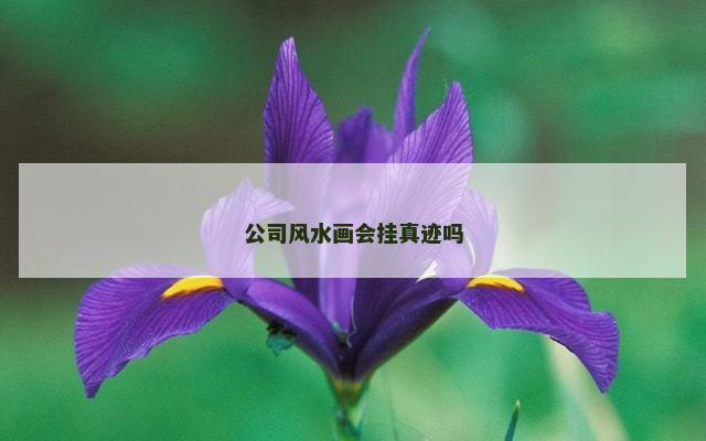 公司风水画会挂真迹吗