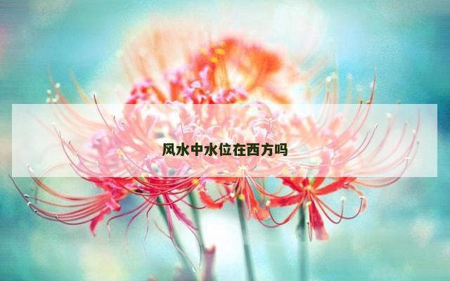 风水中水位在西方吗