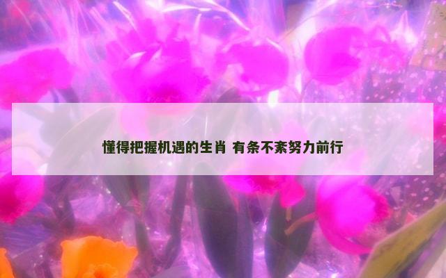 懂得把握机遇的生肖 有条不紊努力前行