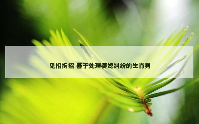 见招拆招 善于处理婆媳纠纷的生肖男