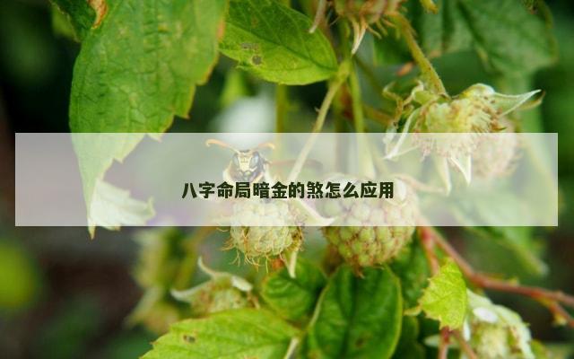 八字命局暗金的煞怎么应用