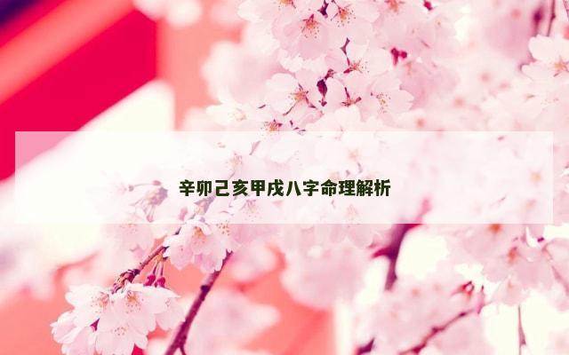 辛卯己亥甲戌八字命理解析