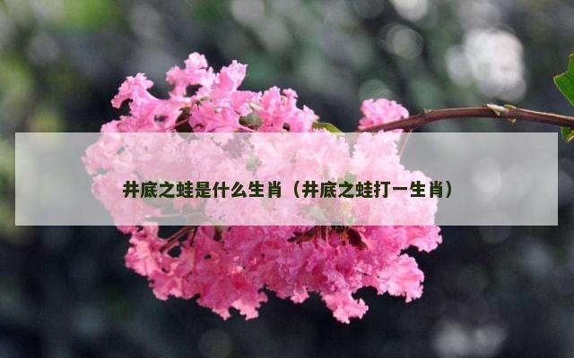 井底之蛙是什么生肖（井底之蛙打一生肖）
