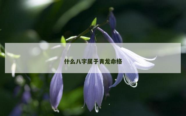 什么八字属于青龙命格