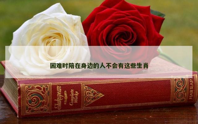 困难时陪在身边的人不会有这些生肖