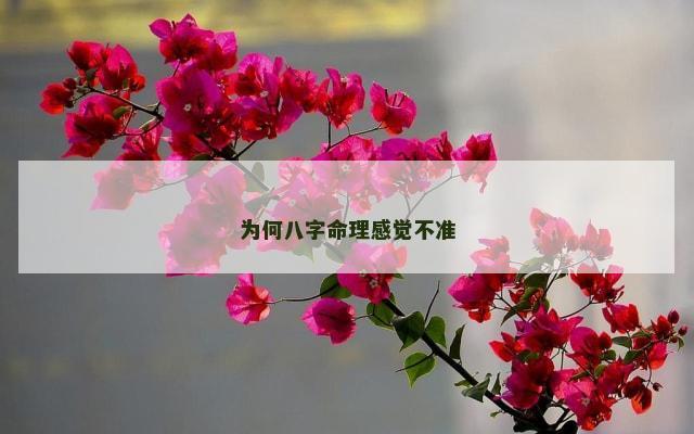 为何八字命理感觉不准