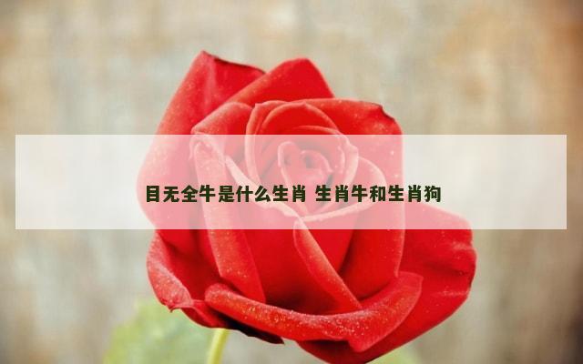 目无全牛是什么生肖 生肖牛和生肖狗