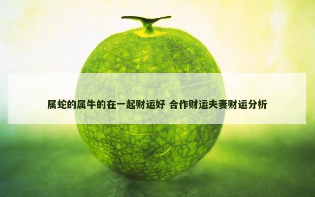 属蛇的属牛的在一起财运好 合作财运夫妻财运分析
