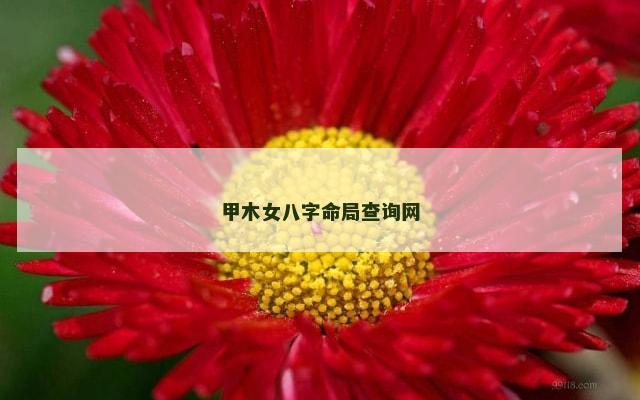 甲木女八字命局查询网