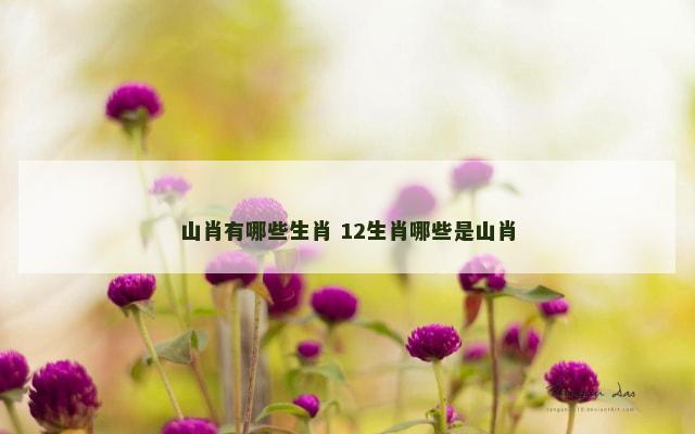 山肖有哪些生肖 12生肖哪些是山肖