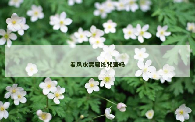 看风水需要练咒语吗