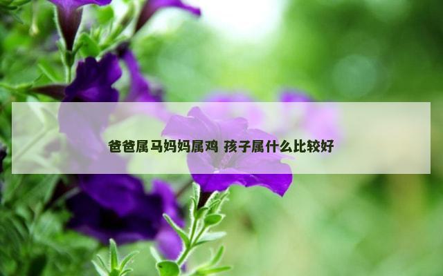 爸爸属马妈妈属鸡 孩子属什么比较好