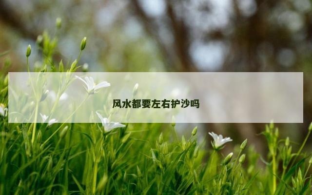 风水都要左右护沙吗
