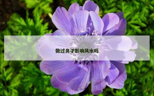 做过鼻子影响风水吗