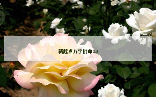 新起点八字批命13