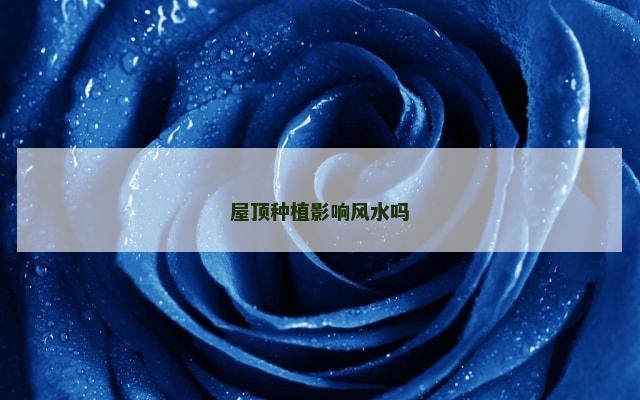 屋顶种植影响风水吗