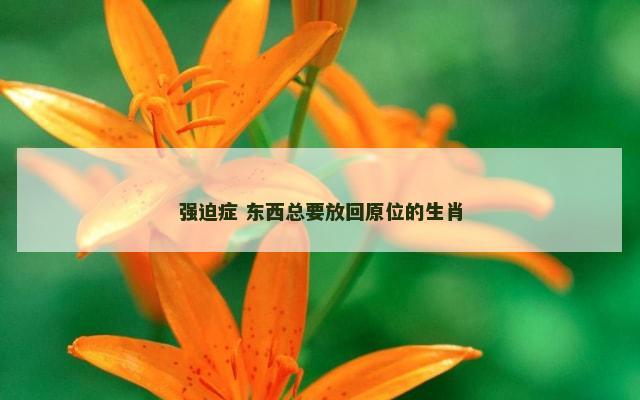 强迫症 东西总要放回原位的生肖