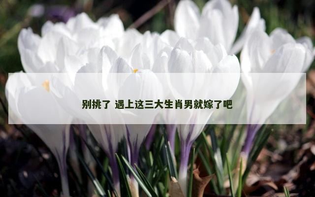 别挑了 遇上这三大生肖男就嫁了吧