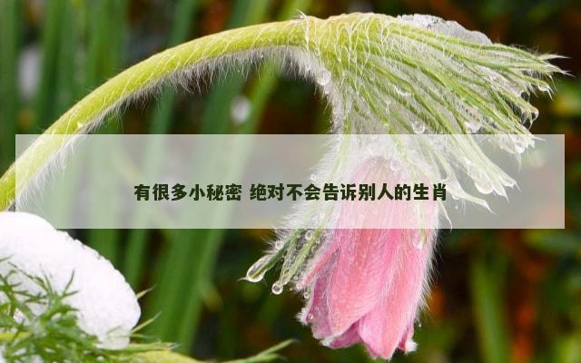 有很多小秘密 绝对不会告诉别人的生肖