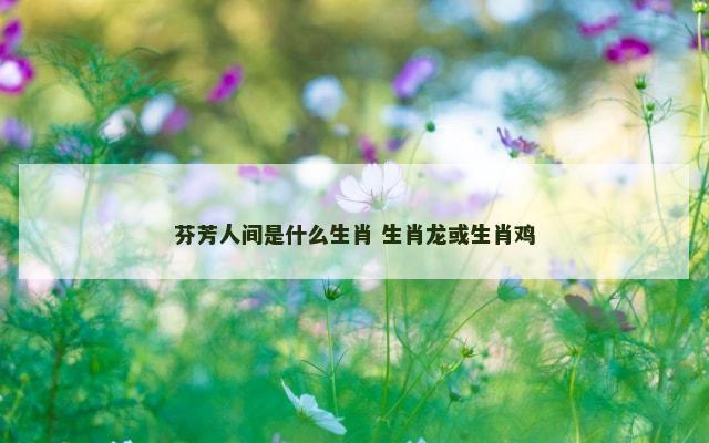 芬芳人间是什么生肖 生肖龙或生肖鸡