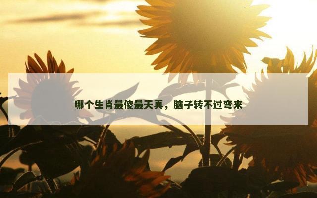 哪个生肖最傻最天真，脑子转不过弯来