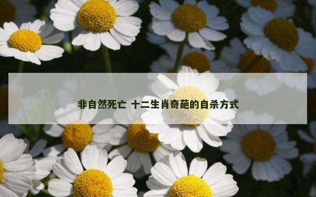 非自然死亡 十二生肖奇葩的自杀方式