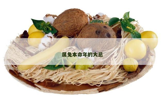 属兔本命年的大忌