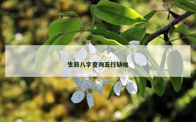 生辰八字查询五行缺啥