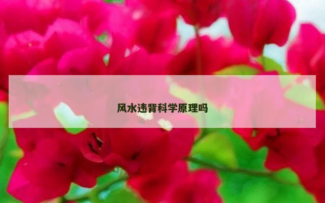 风水违背科学原理吗