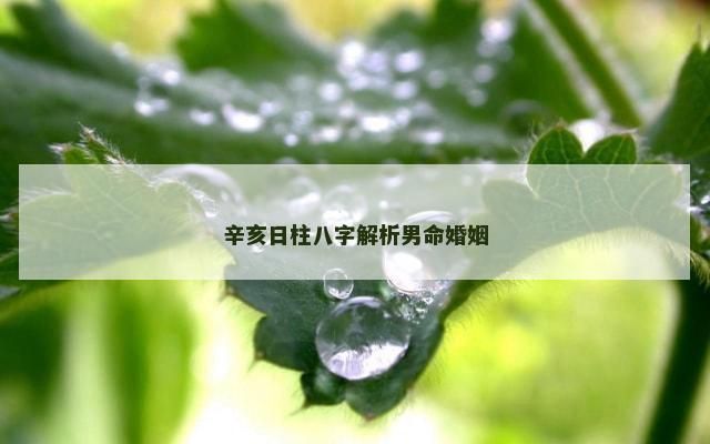 辛亥日柱八字解析男命婚姻