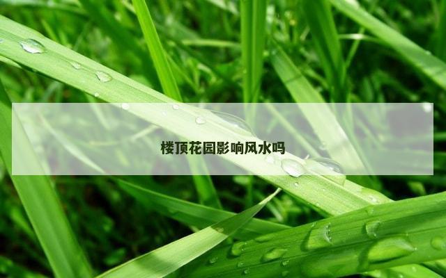 楼顶花园影响风水吗