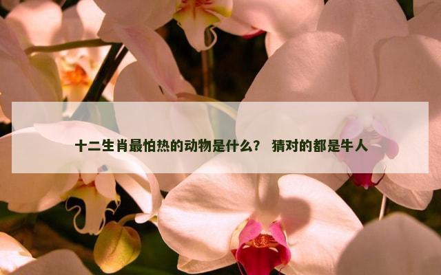十二生肖最怕热的动物是什么？ 猜对的都是牛人