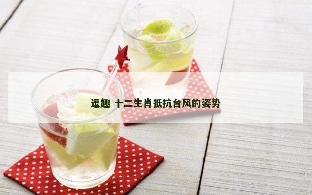 逗趣 十二生肖抵抗台风的姿势