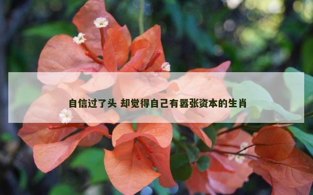 自信过了头 却觉得自己有嚣张资本的生肖