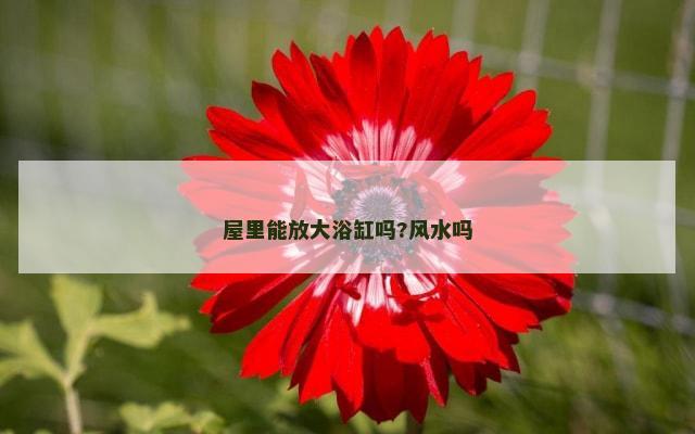 屋里能放大浴缸吗?风水吗