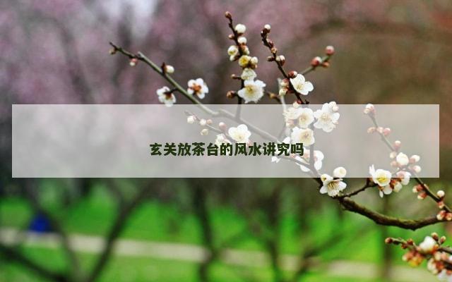玄关放茶台的风水讲究吗