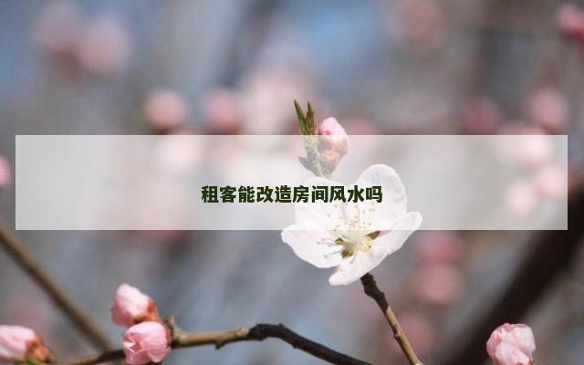 租客能改造房间风水吗