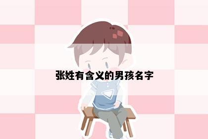 张姓有含义的男孩名字